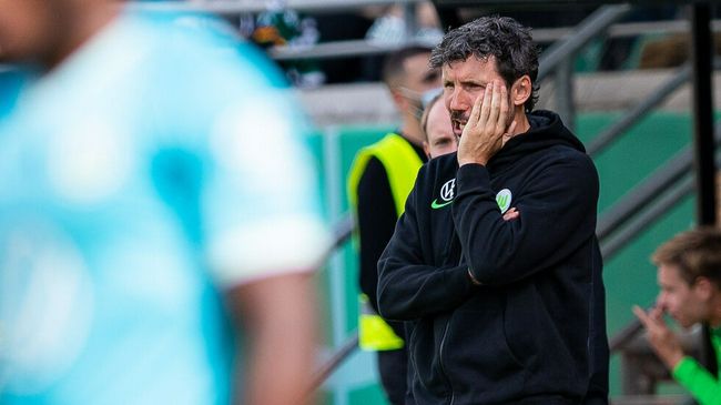 欧美理论片